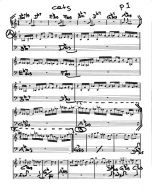 Cats (W. Fischbacher)