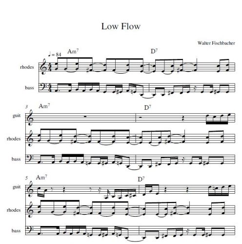 Low Flow (W. Fischbacher)