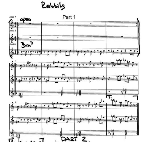 Rabbitz in space (W. Fischbacher)