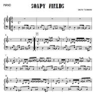 Soapy Fields (W. Fischbacher)