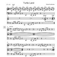 Turtleland (W. Fischbacher)